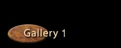 Paul Petrie, Jr. Gallery 1